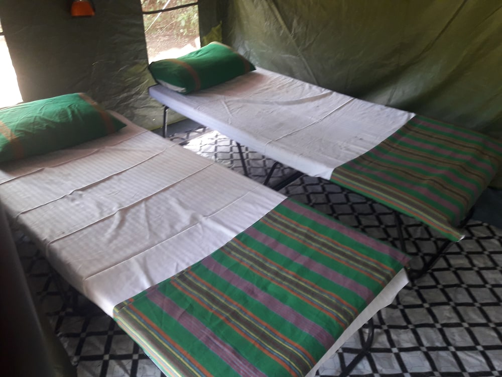Dev's Campground