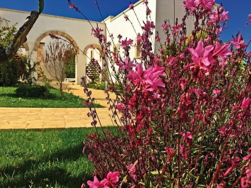 Tenuta Vigna Corallo