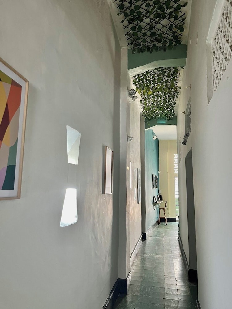 la viduka Hostel s.a.s