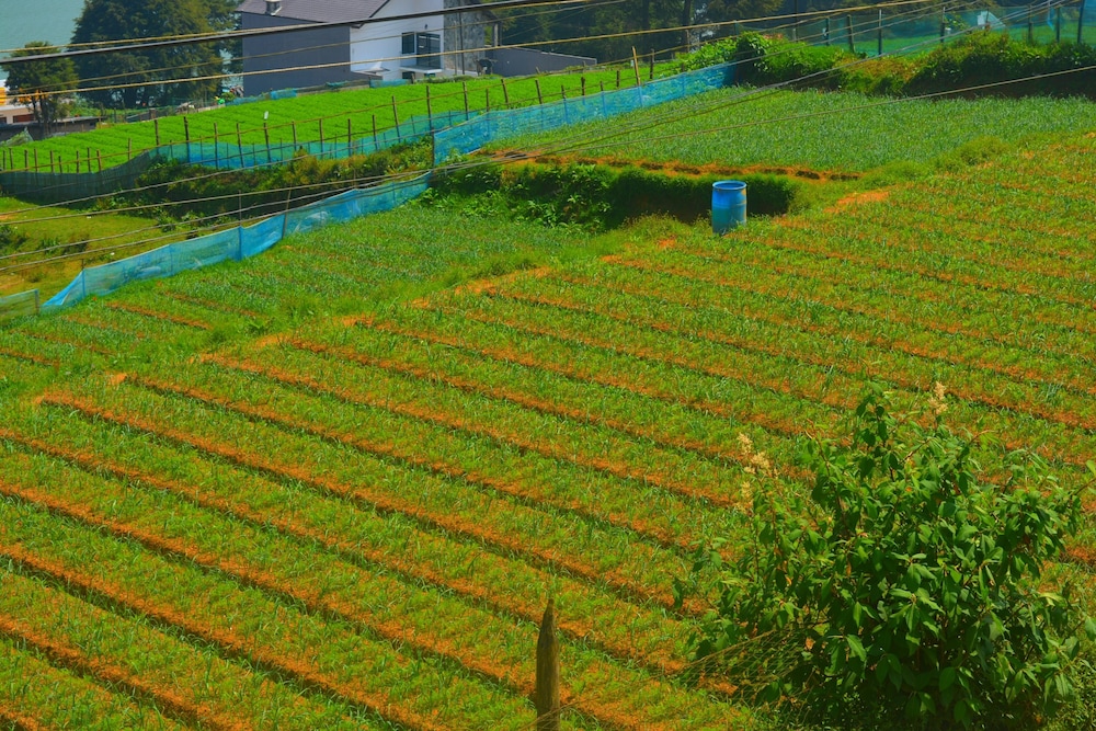 Hill Paradise