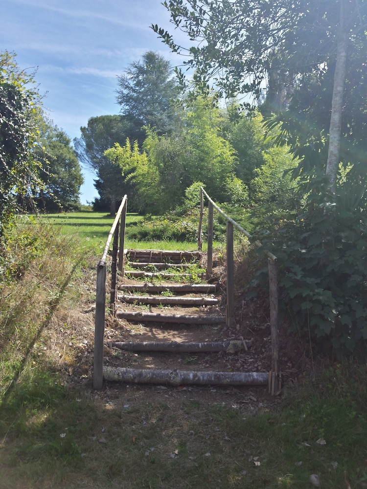 Photo 26