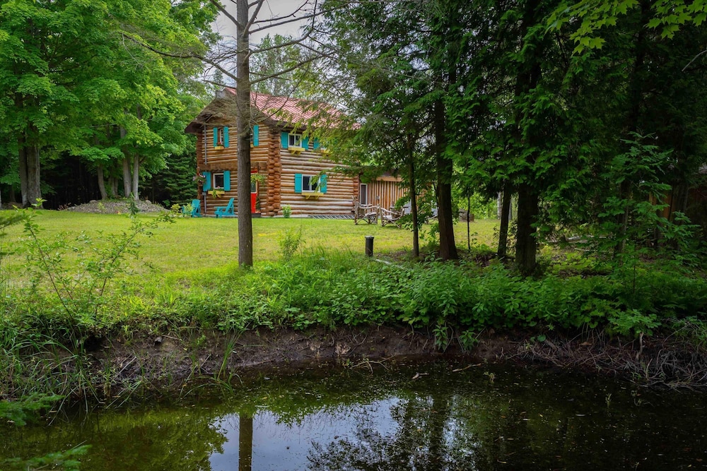 Nature Lovers Retreat log Home - L il Ranch