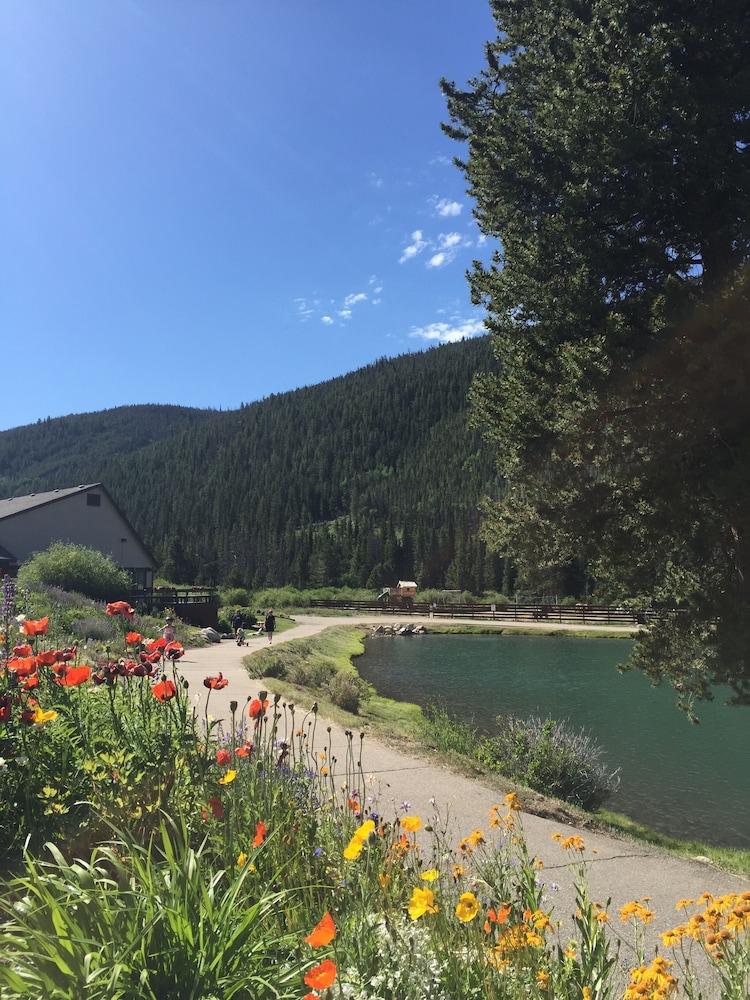 Summit County Vacations - Montezuma 1771 by SummitCove Vacation Lodging - Property Image 12