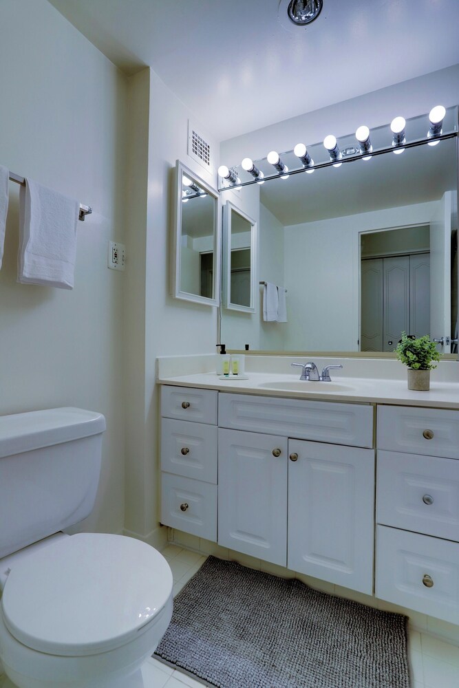 Spacious 2BR Apartment in Crystal City