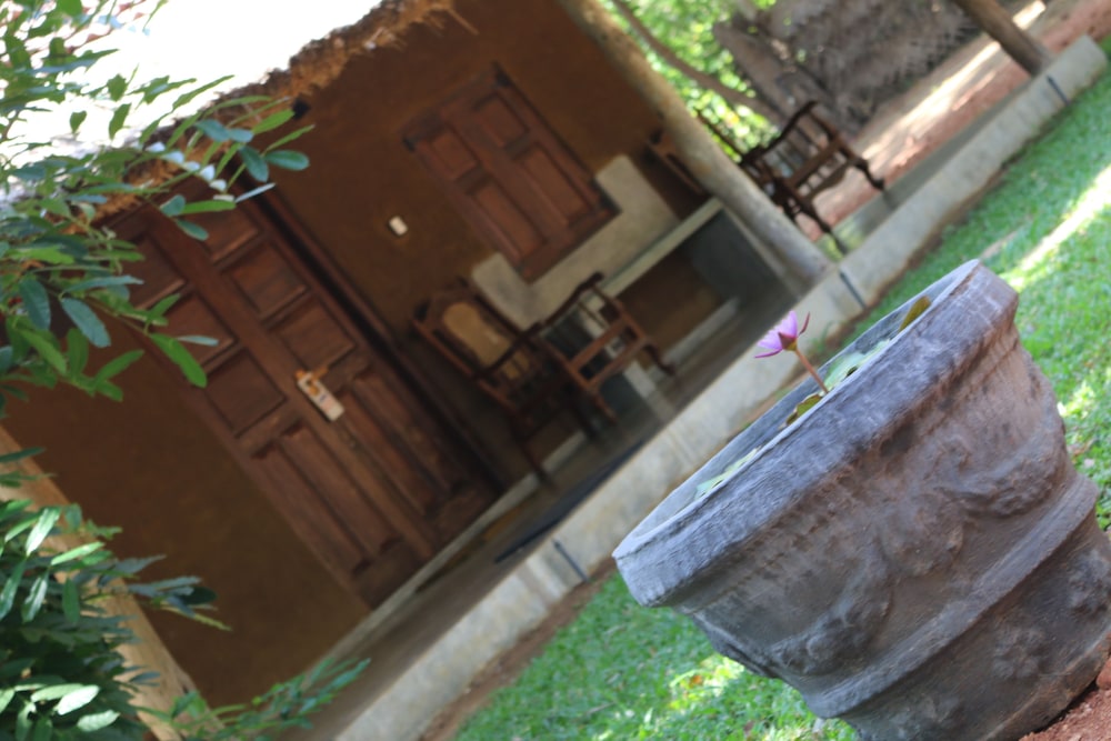 Ama Villa