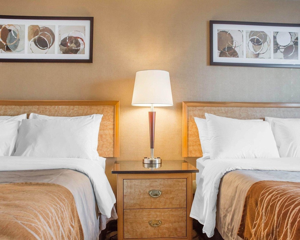 Brantford Vacations - Comfort Inn Brantford - Property Image 10