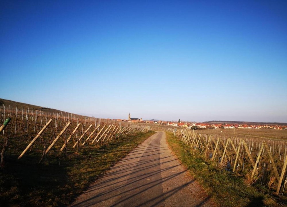 Apartment in Alsace Near Europa-park