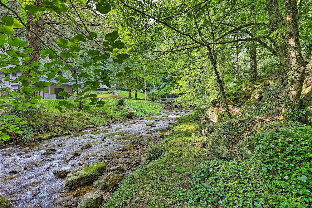 Cozy Roan Mountain Cabin w/ Private Balcony! view 5