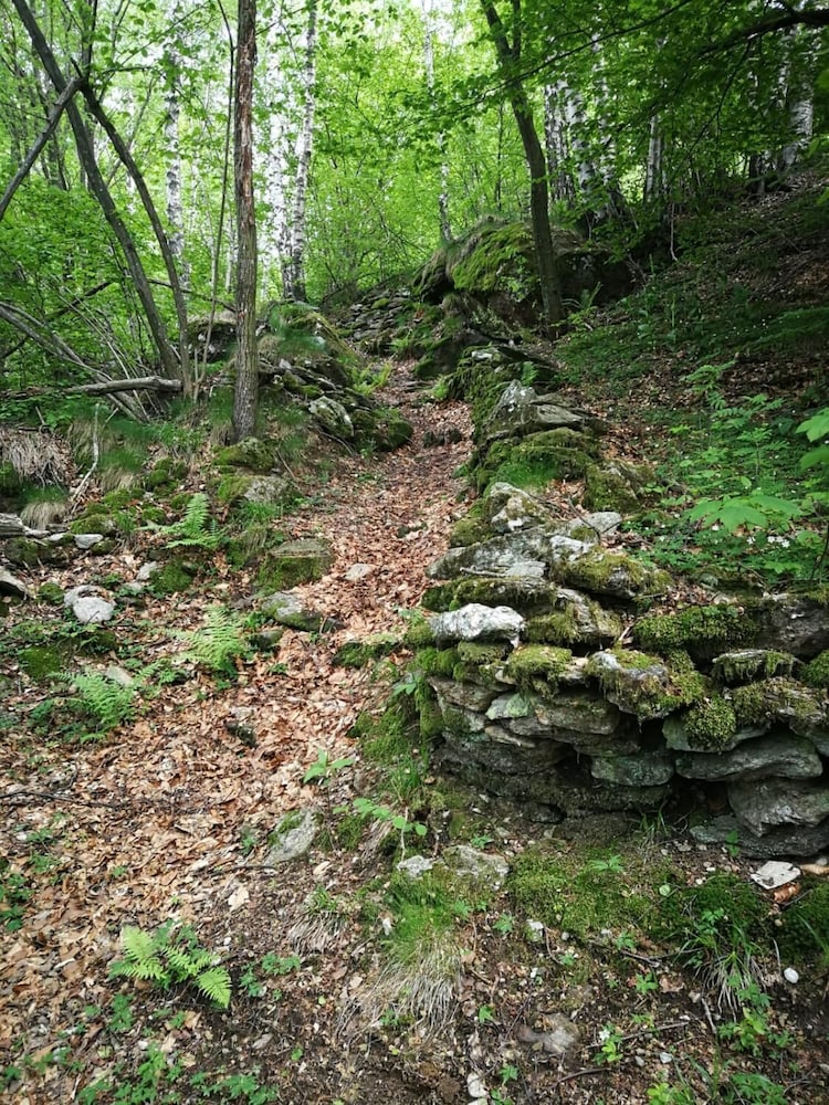 Photo 24