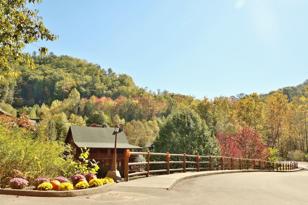 Smoky Cascades 1 Br cabin by RedAwning