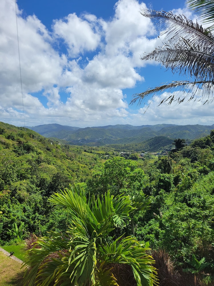 Villa Gringo Farms - Property Image 13