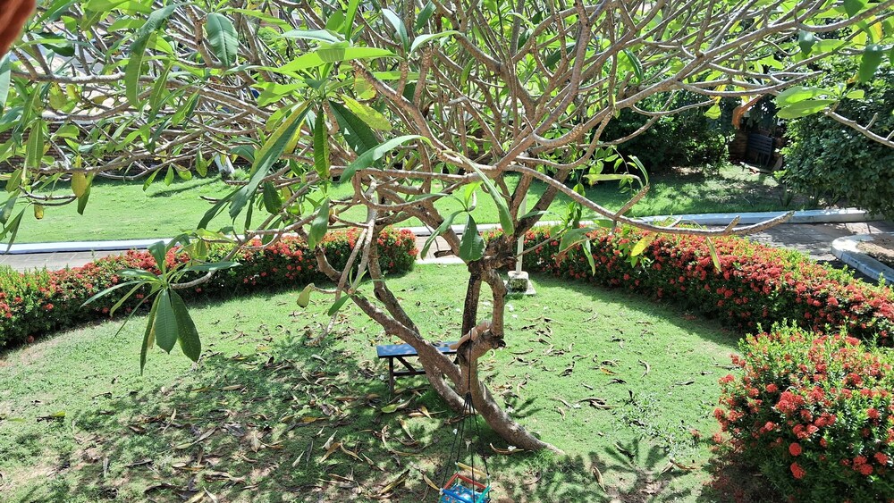 Photo 49