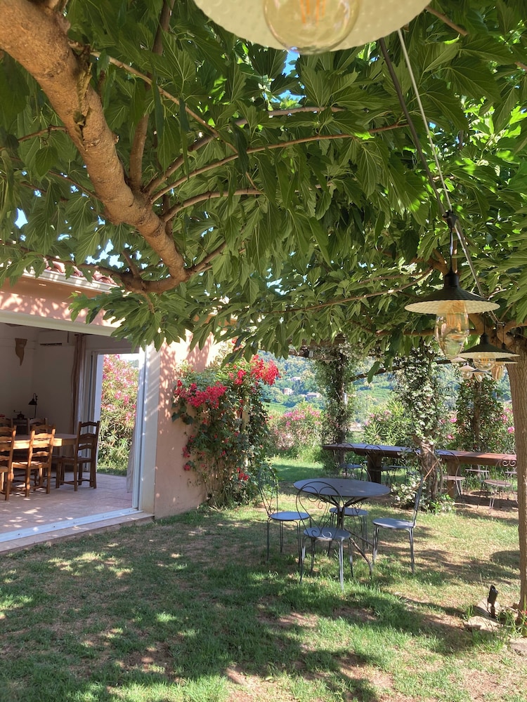 DOMAINE U BUGNU