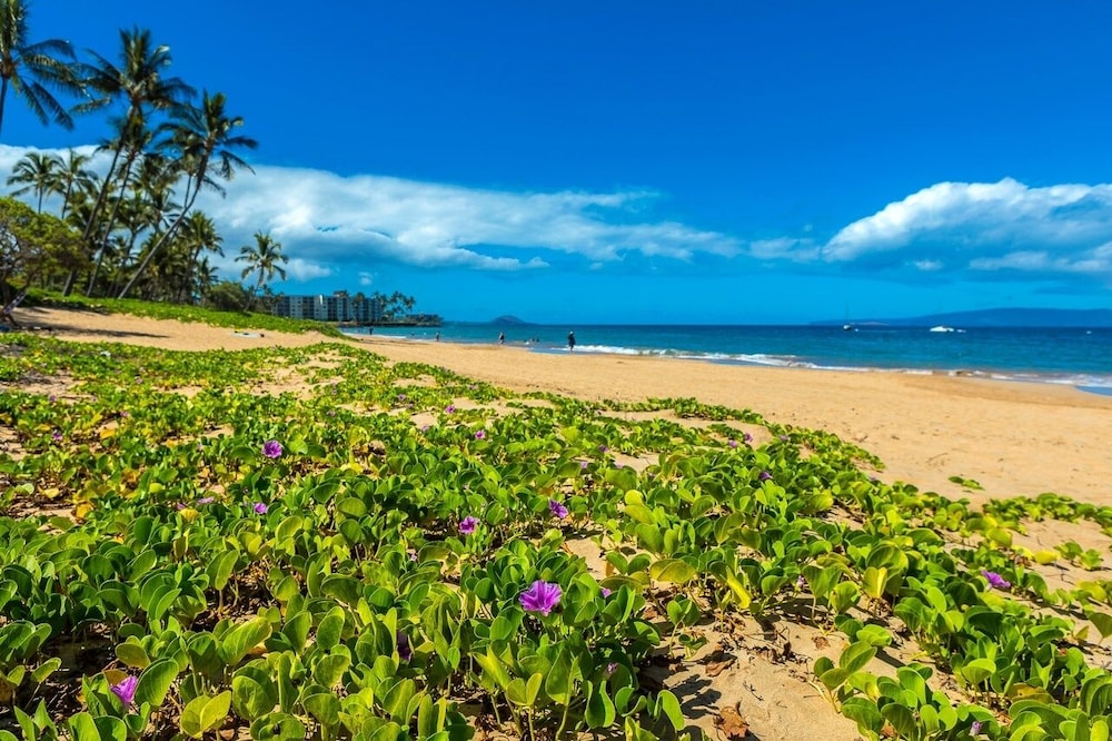 Maui Banyan T303 3 Bedroom Condo