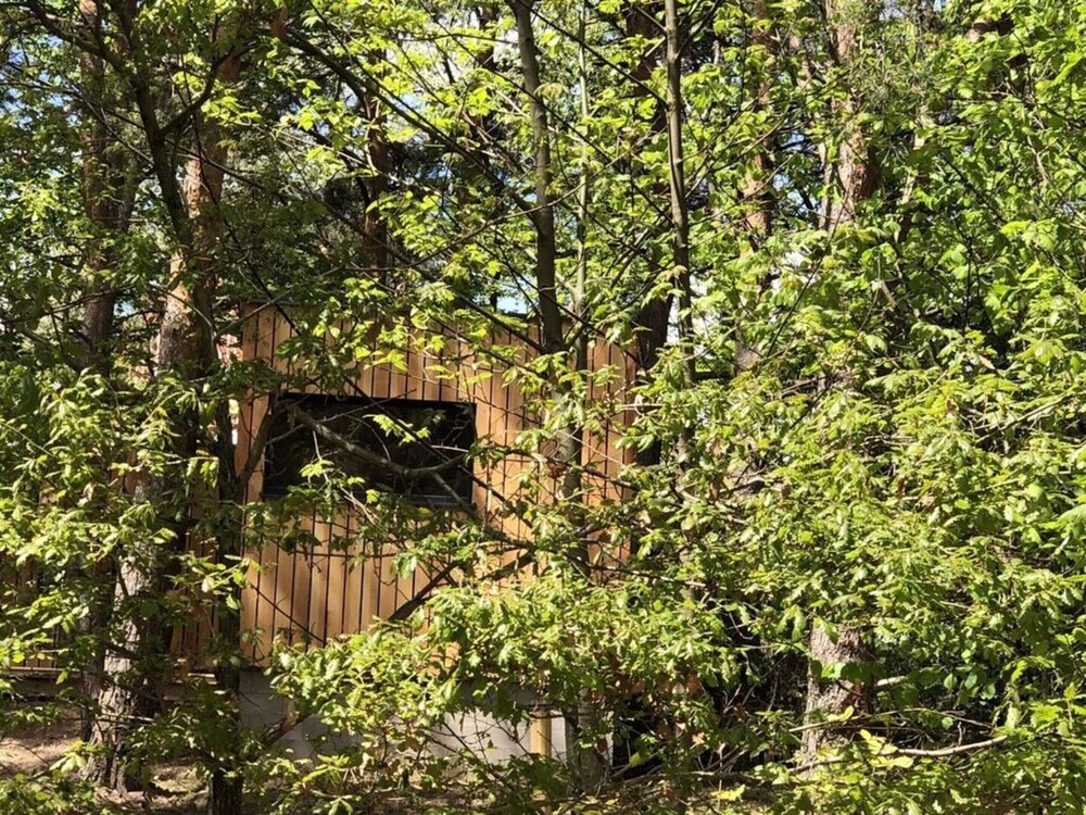 Holiday Home 2 Under the Trees view 2