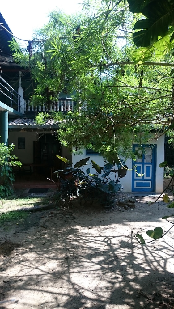Photo 45