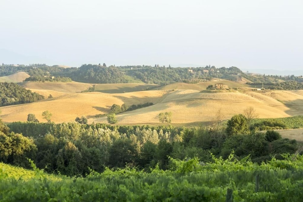 Casale degli Ulivi