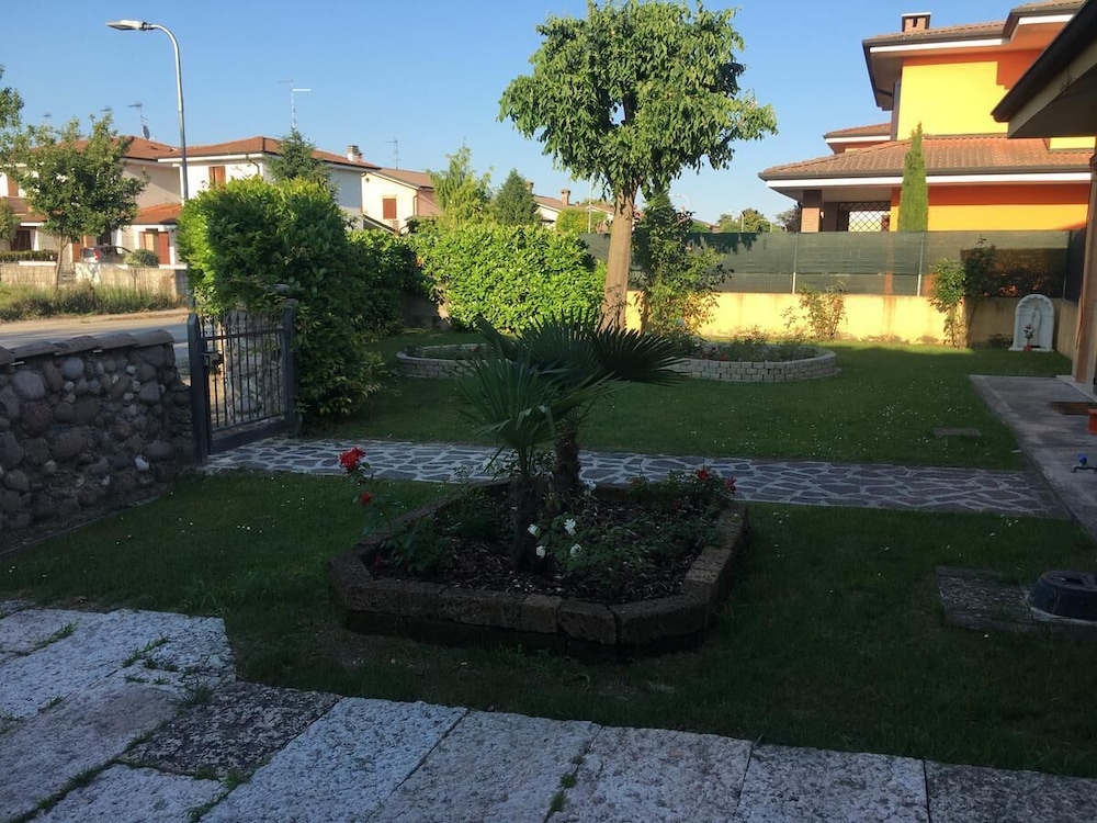 Photo 31