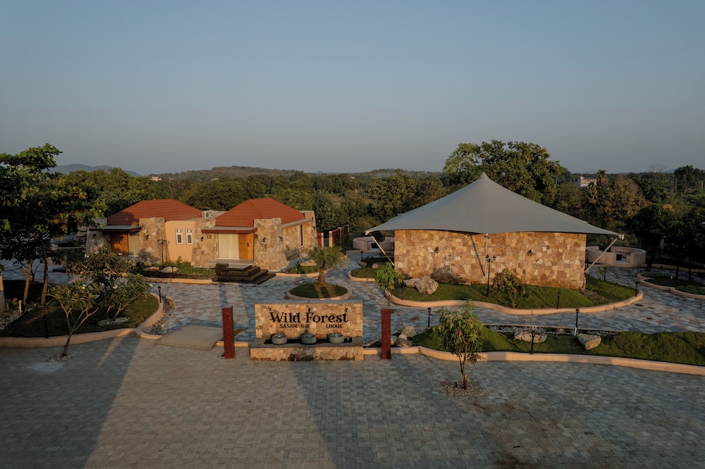 Wild forest Sasan Gir Wildlife Sanctuary