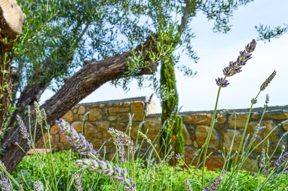 Photo 32