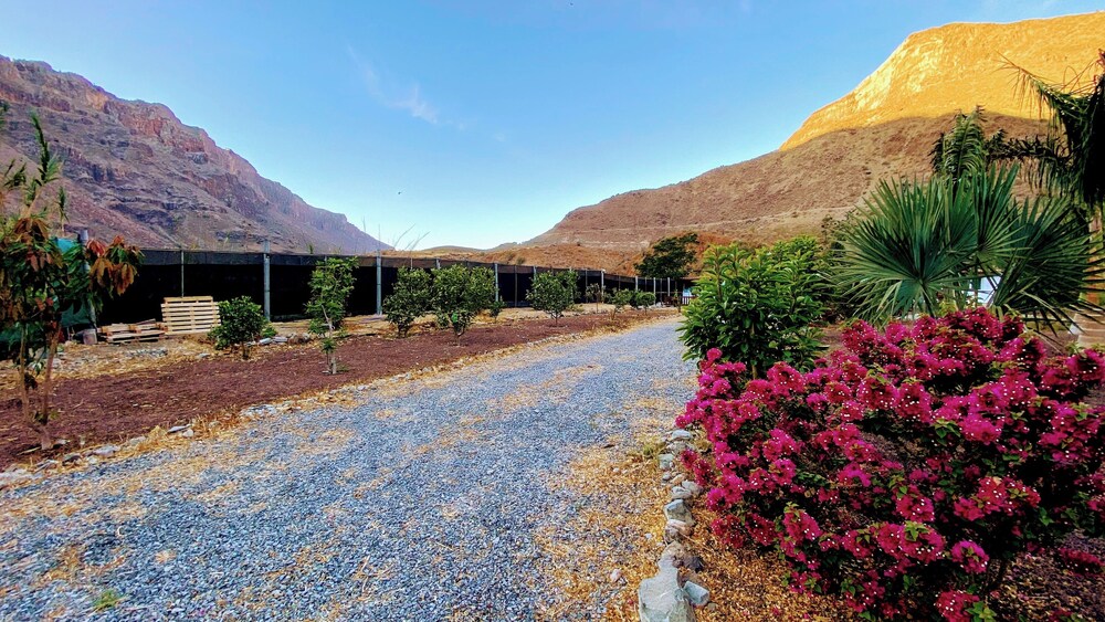 Cosy Country Studio Near Maspalomas and Fataga