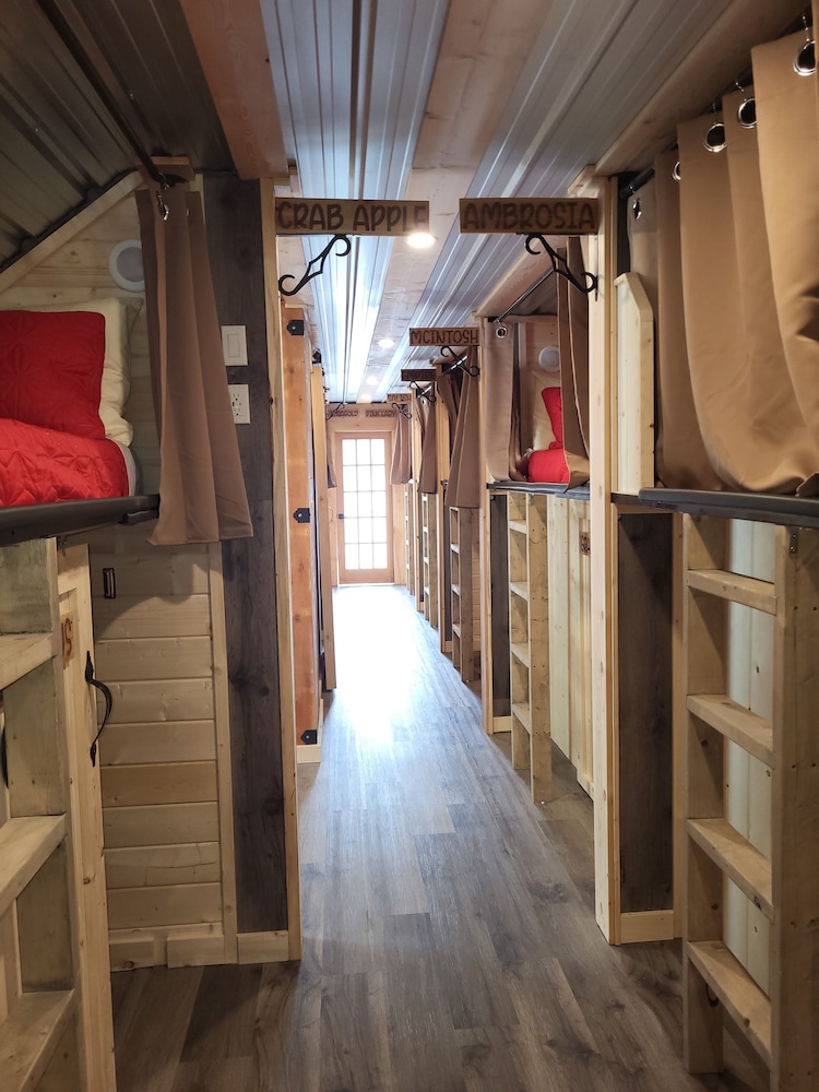 Hotel The Orchard Hostel Private Bunks - Image 1