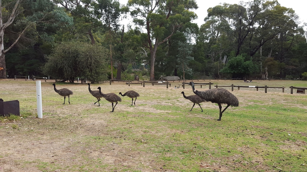 Breeze Holiday Parks - Halls Gap