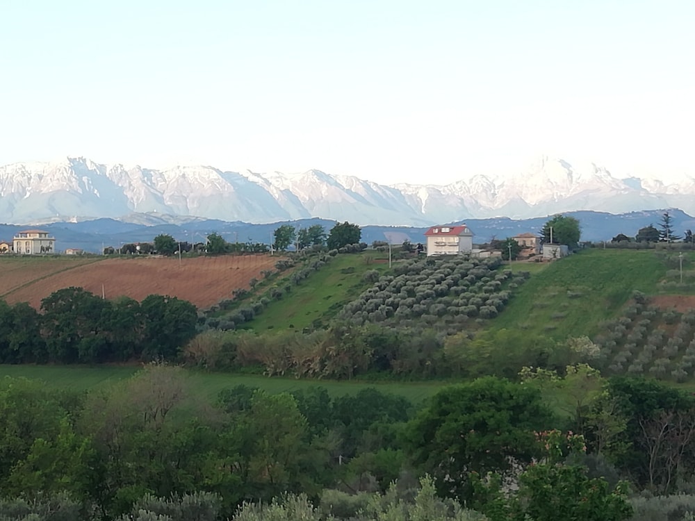 Photo 7