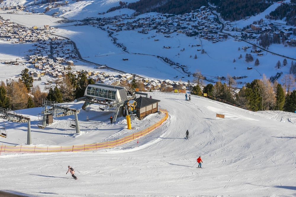 Sole Ski in- Ski out Mt 50