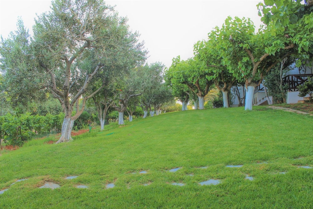 Villa Sofia