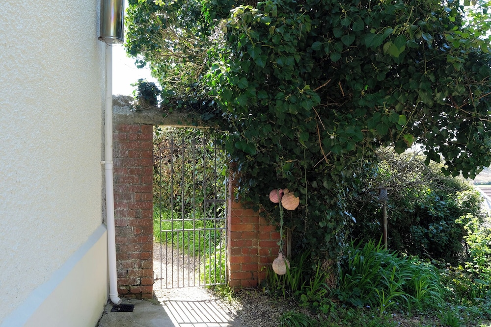Photo 46