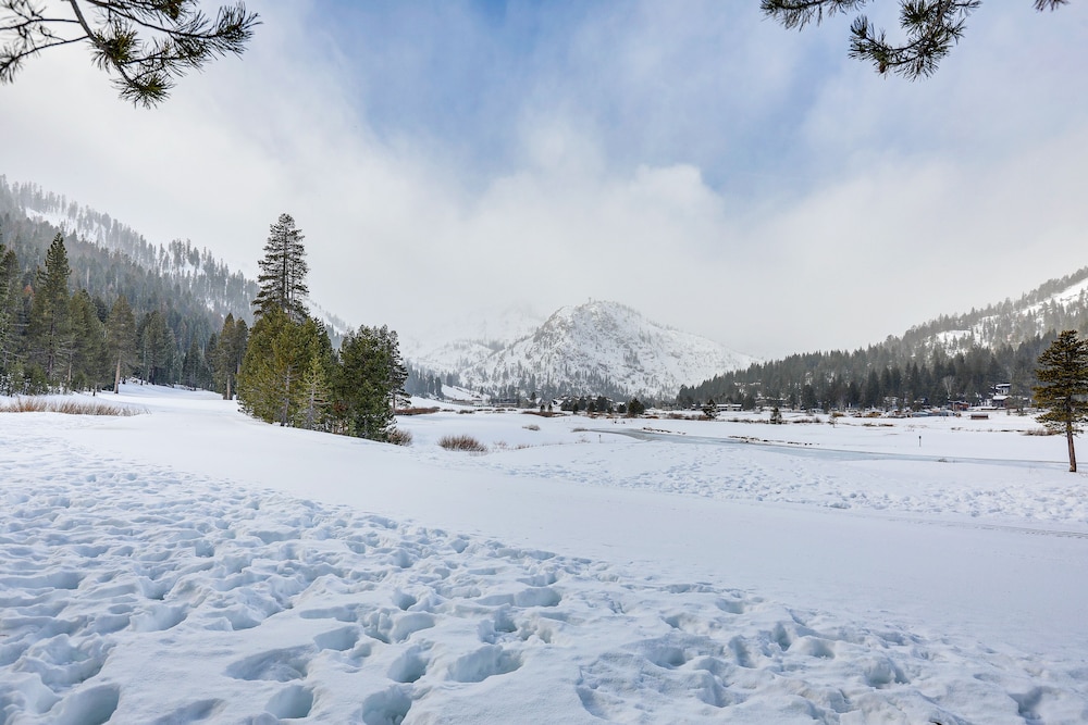 Lake Tahoe Vacations - Breathtaking Olympic Valley Gem: Walk to Chairlift - Property Image 6
