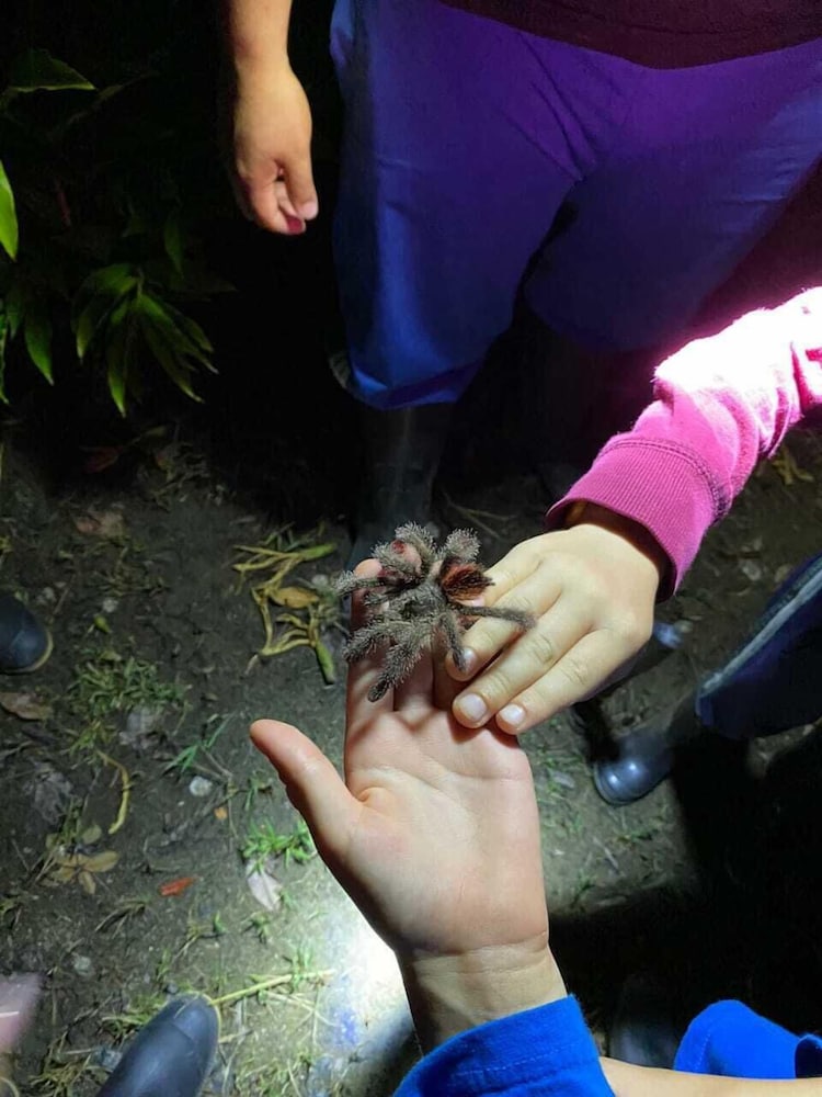 Grand Selva Lodge & Tours