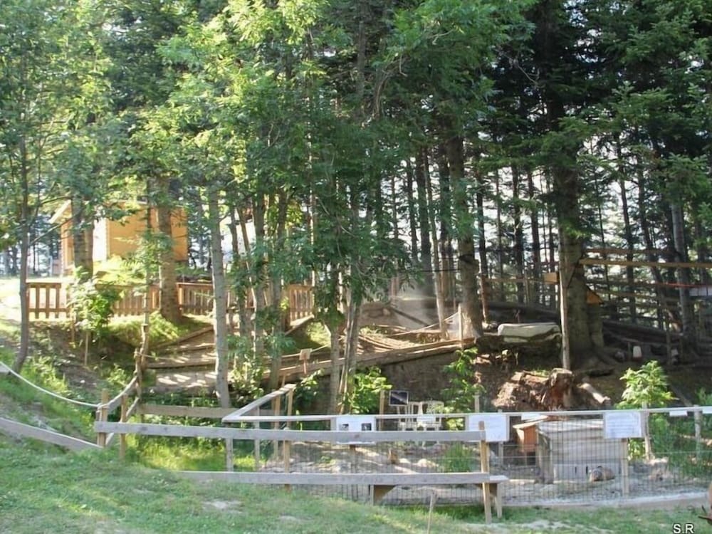 Photo 41