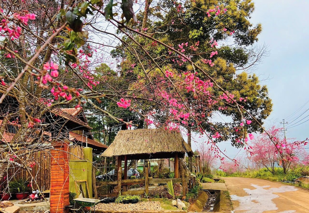 Gió Homestay – Măng Đen