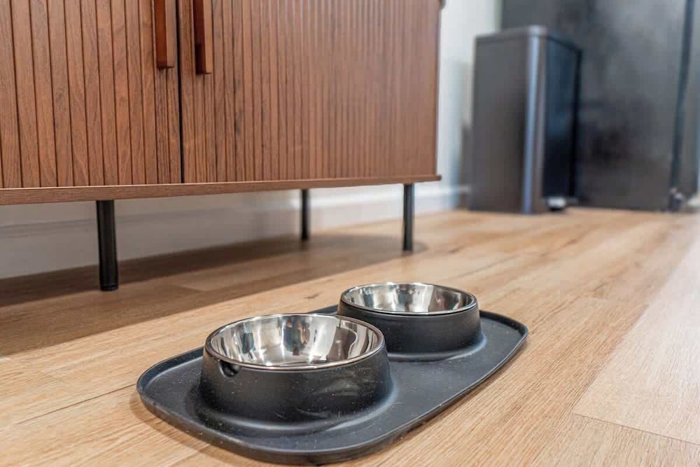 Designer Living Pet-friendly UNR 2BR 1BA
