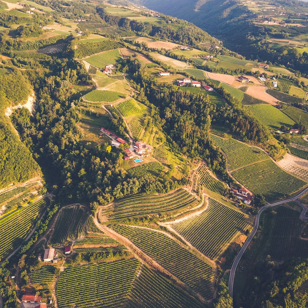 Tenuta MonteOliveto