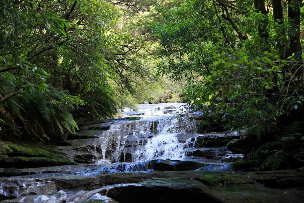 Explore the Blue Mountains on Foot