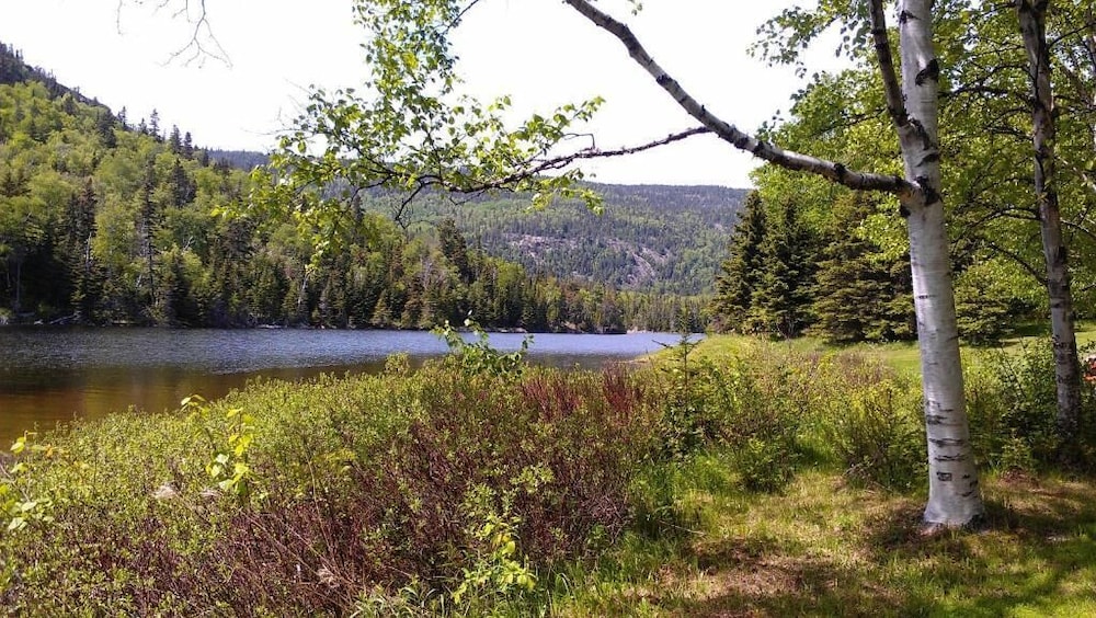 Photo 42