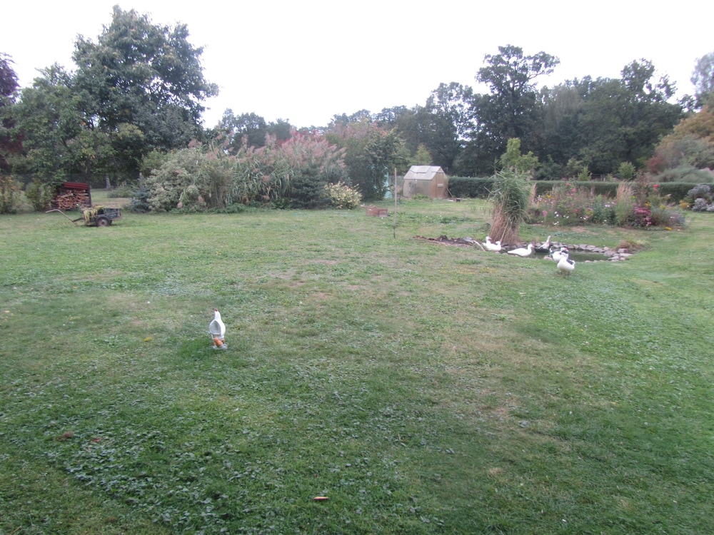 Photo 22