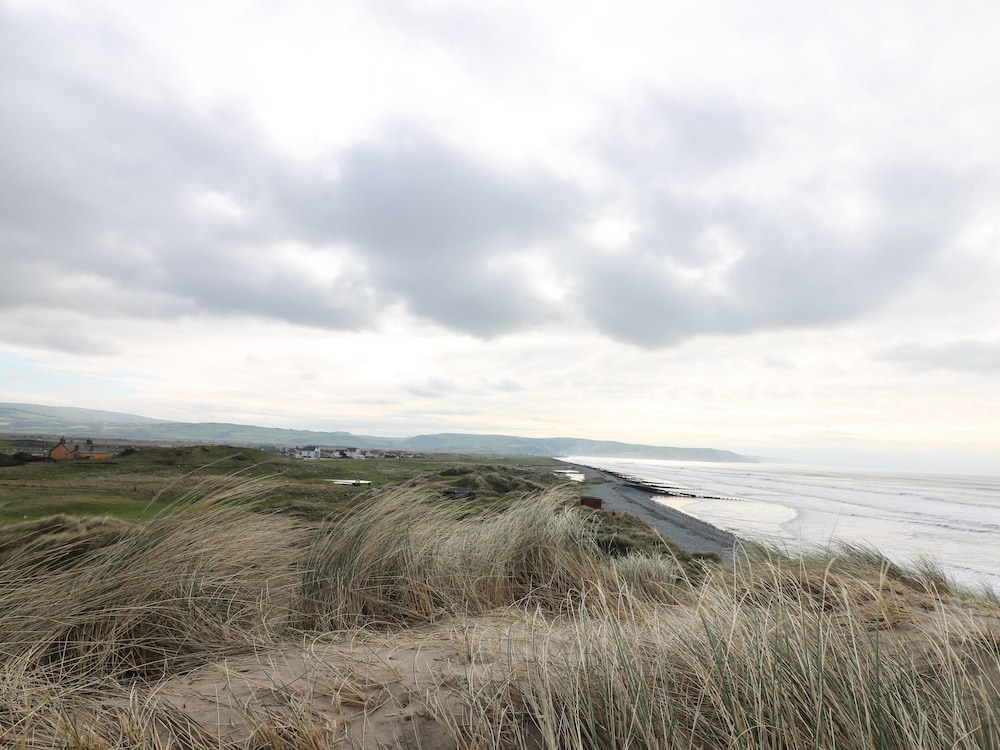 Y Felin - Celyn