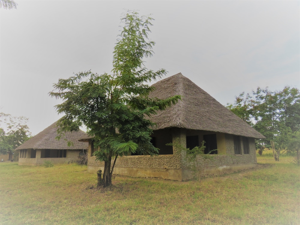 Mikumi Wildlife Camp