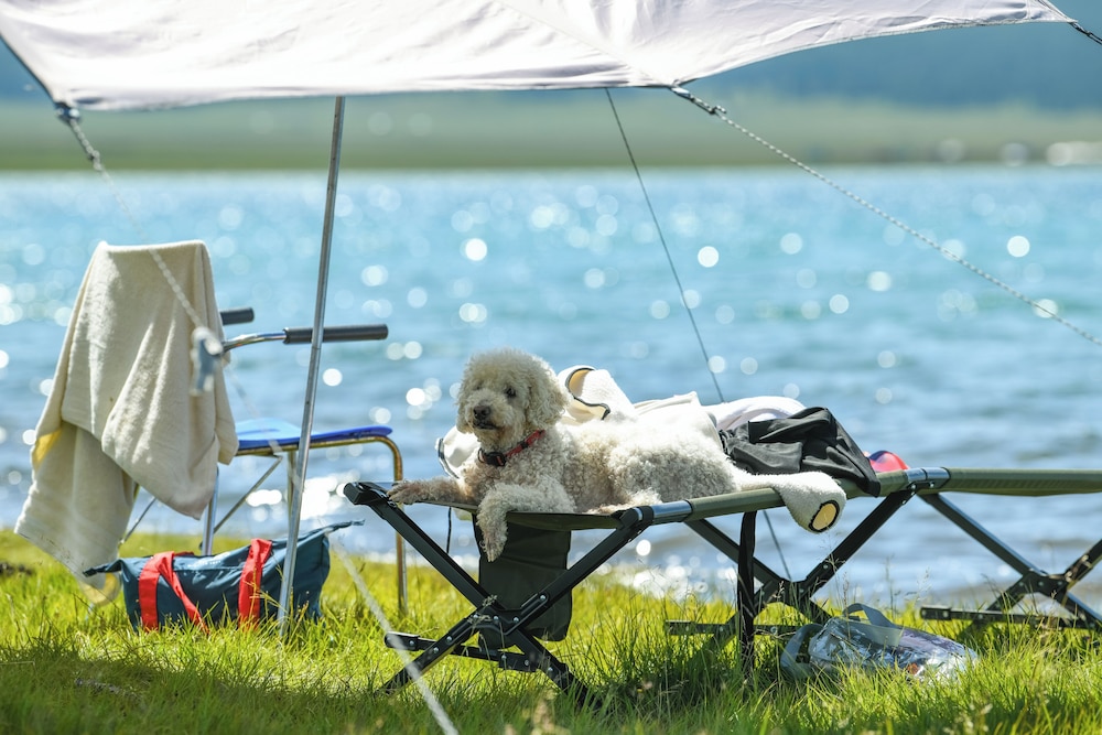 Dalai Eej Resort - Inside Khuvsgul Lake National Park