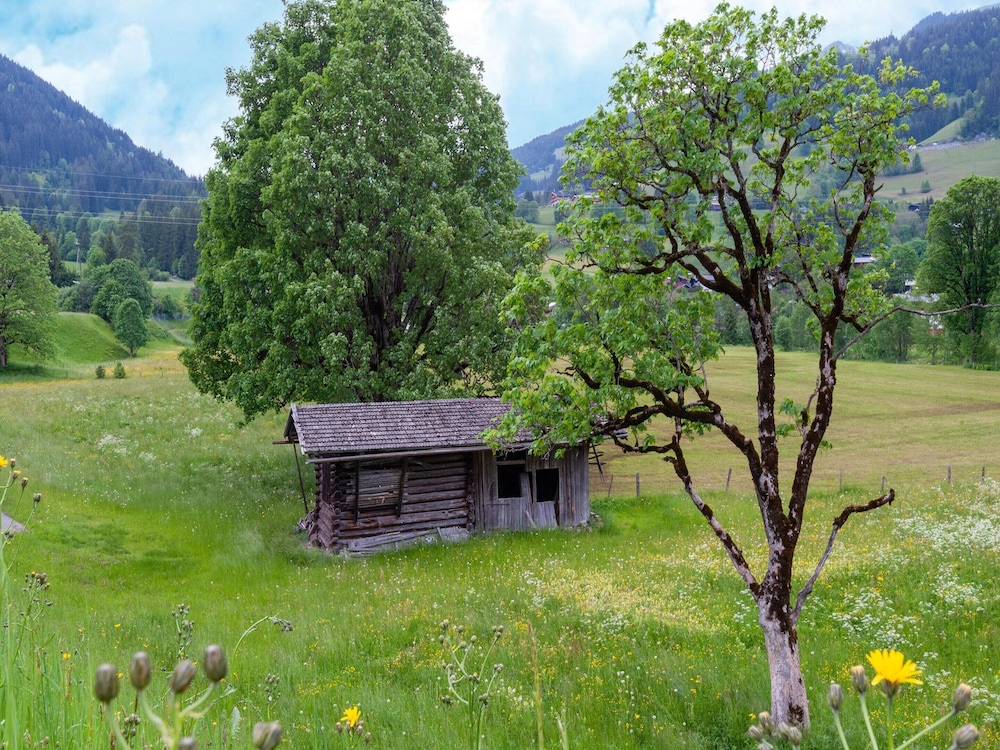 Spacious Holiday Apartment Near Kitzbuhel