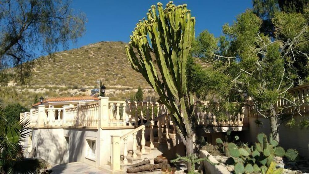 Photo 18