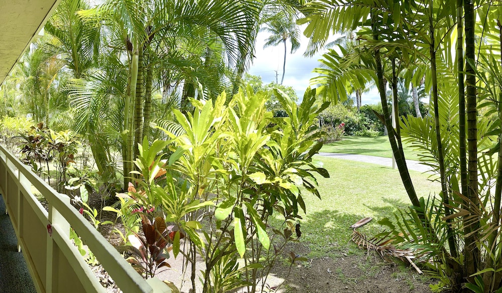 Photo 33