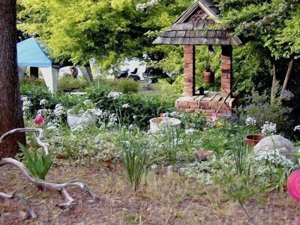 Robins Nest Bed & Breakfast
