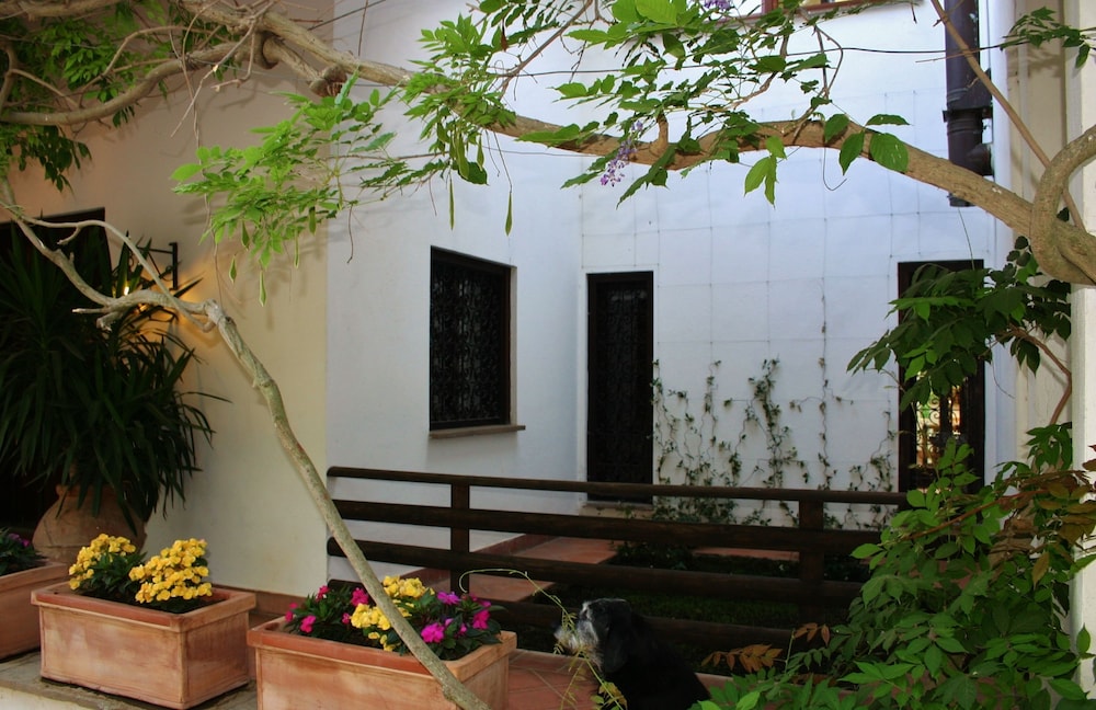 Green Oasis B&B