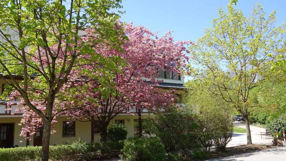 Aparthotel am Sonnenhuegel, photo 18