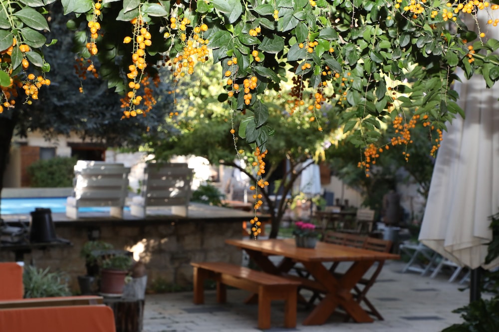 Shulamit Yard